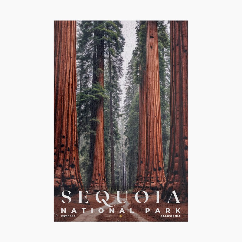Sequoia National Park Jigsaw Puzzle, Family Game, Holiday Gift | S10